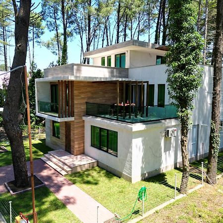 Pine Aparthotel Shekhvetili Exterior foto